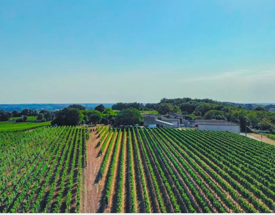 Vignobles Cardoso - Le Coteau des Sens, Belvès-de-Castillon